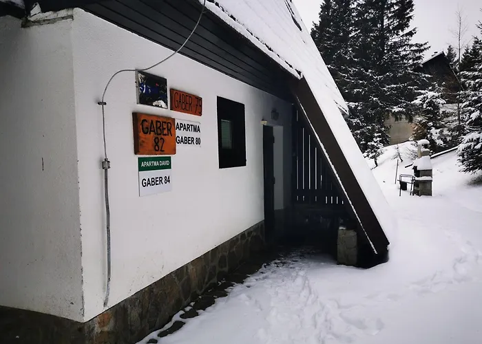 Apartma David Rogla