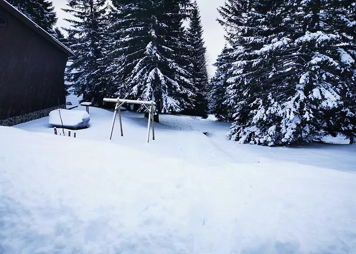 Apartma David Rogla