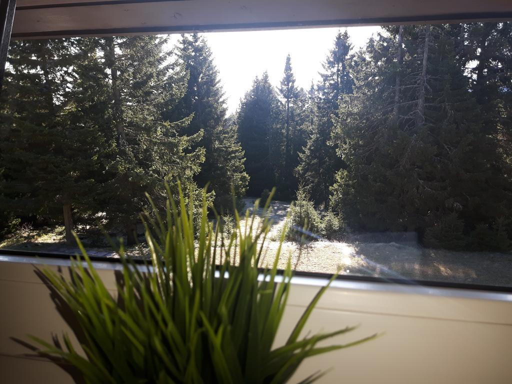 Appartamento Apartma David Rogla Zreče