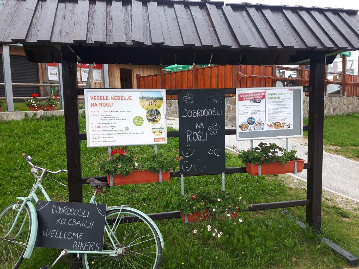 Apartma David Rogla Zrece
