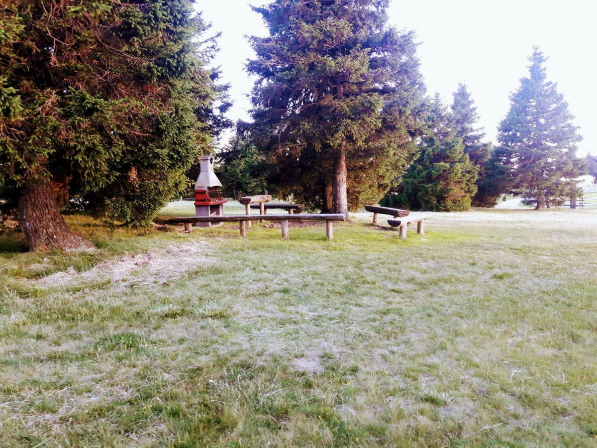 Apartma David Rogla Apartment *