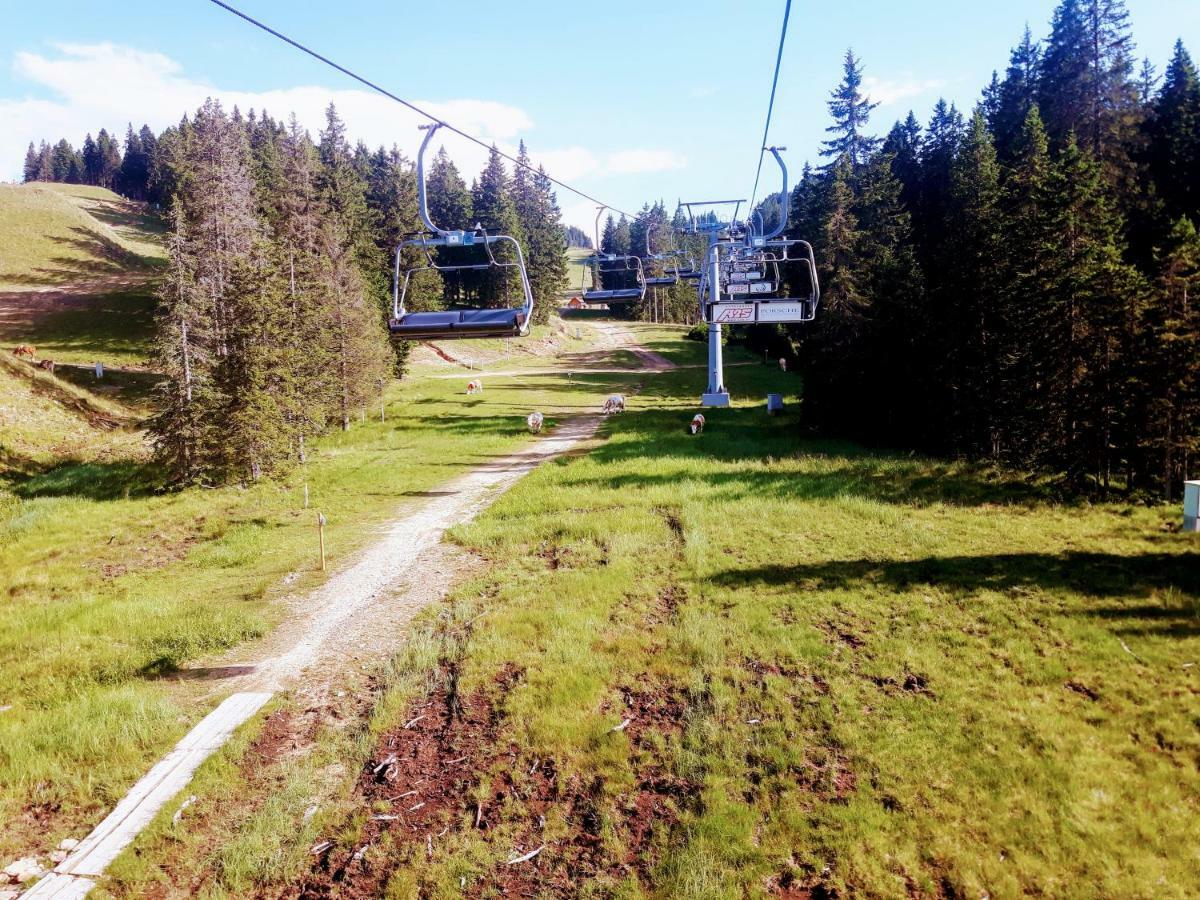 Apartma David Rogla Zrece