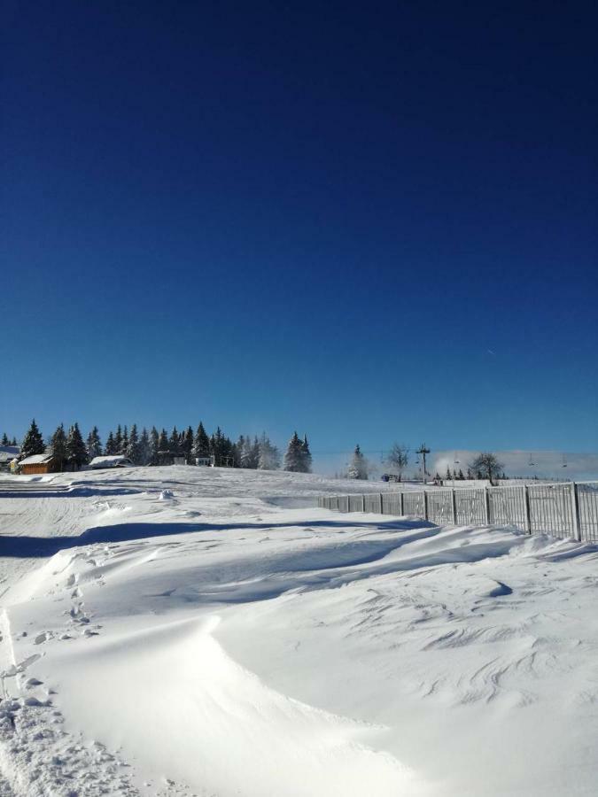 Apartma David Rogla